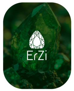 Joyería ErZi
